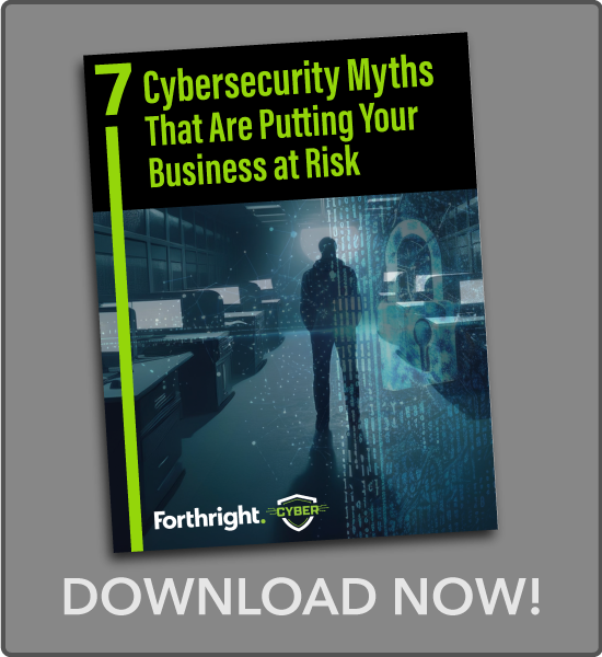 ebook-dwld-cyber-myths1